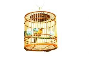 �e���������f��