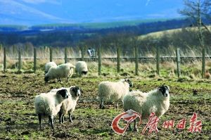 ����Ȧ������ߵ،����ڡ�ӛ