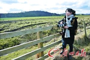 ����(b��o)ӛ�߱����K���m�ߵ�������ľ�|(zh��)��ڵ�ԭ����