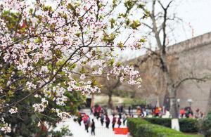 �h(hu��n)�ǹ��@��ęѻ������_�����������������^����