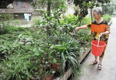 6��27�գ�ͬ�Ƙ�M��8̖Ժ���S�����ڽoԺ��ֲ�ˮ��