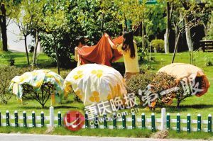 �G���������������ؓ(f��)��(d��n)����ѽ��