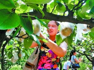 �������·���(qi��ng)�ҵ���@ժ�����ؑc����(b��o)�����x��ӛ��