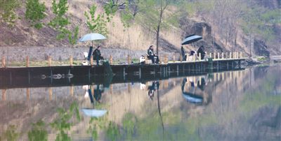 ��Ӵ��ǲ�ɫ���ӵ�ʢ��