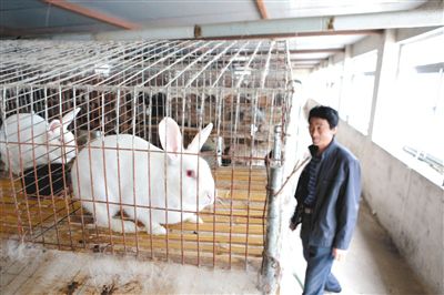 ��Ӵ��ǲ�ɫ���ӵ�ʢ��