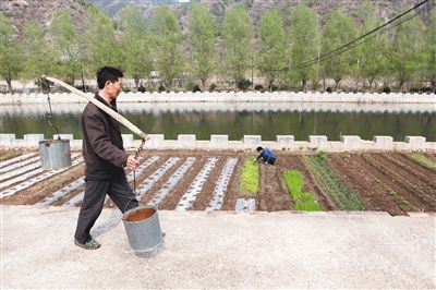 ��Ӵ��ǲ�ɫ���ӵ�ʢ��