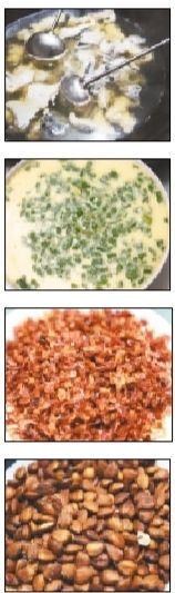 ��Ӵ��ǲ�ɫ���ӵ�ʢ��