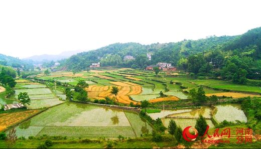 ����̳ǣ�����ɽ�l(xi��ng)�L��@ ���ˮ���Ҹ��}