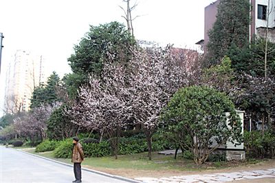 �����p������(d��ng)�r(sh��)